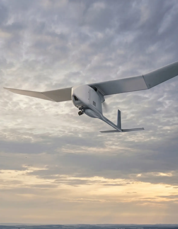 Aerial sentinel drone over monitored zone